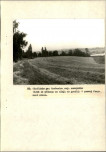 Ewidencja parkowa, skan nr 61
