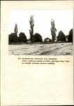 Ewidencja parkowa, skan nr 63