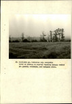 Ewidencja parkowa, skan nr 68