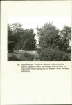 Ewidencja parkowa, skan nr 39