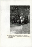 Ewidencja parkowa, skan nr 40