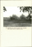 Ewidencja parkowa, skan nr 44
