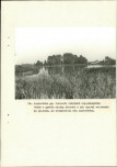 Ewidencja parkowa, skan nr 48