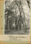EP - Ewidencja parkowa, skan nr 51