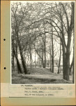 EP - Ewidencja parkowa, skan nr 52