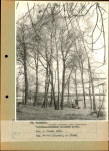 EP - Ewidencja parkowa, skan nr 55