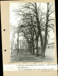 EP - Ewidencja parkowa, skan nr 30