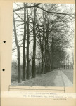 EP - Ewidencja parkowa, skan nr 37