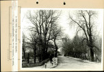EP - Ewidencja parkowa, skan nr 56