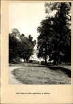 Ewidencja parkowa, skan nr 33