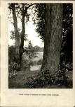 Ewidencja parkowa, skan nr 24