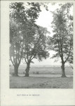 Ewidencja parkowa, skan nr 26