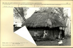 Karta biała, skan nr 6