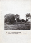 Ewidencja parkowa, skan nr 29