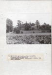 Ewidencja parkowa, skan nr 26