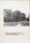 Ewidencja parkowa, skan nr 27