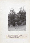 Ewidencja parkowa, skan nr 28