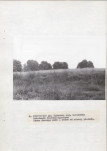 Ewidencja parkowa, skan nr 29