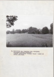 Ewidencja parkowa, skan nr 33