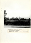 EP - Ewidencja parkowa, skan nr 52