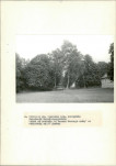 Ewidencja parkowa, skan nr 30