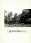EP - Ewidencja parkowa, skan nr 32