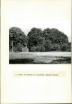 Ewidencja parkowa, skan nr 25