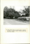 Ewidencja parkowa, skan nr 29