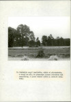 EP - Ewidencja parkowa, skan nr 41