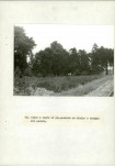 EP - Ewidencja parkowa, skan nr 44