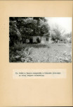 Ewidencja parkowa, skan nr 43