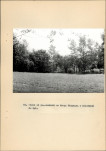 Ewidencja parkowa, skan nr 46