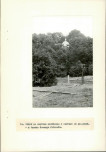 Ewidencja parkowa, skan nr 39