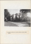 Ewidencja parkowa, skan nr 46