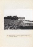 Ewidencja parkowa, skan nr 48