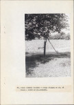 Ewidencja parkowa, skan nr 50