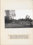 Ewidencja parkowa, skan nr 42