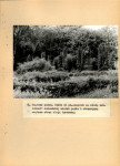 EP - Ewidencja parkowa, skan nr 46