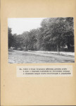 EP - Ewidencja parkowa, skan nr 74