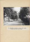 EP - Ewidencja parkowa, skan nr 77