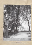 Ewidencja parkowa, skan nr 27