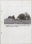 EP - Ewidencja parkowa, skan nr 21