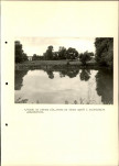 Ewidencja parkowa, skan nr 29