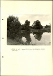 Ewidencja parkowa, skan nr 30