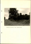 Ewidencja parkowa, skan nr 31