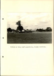 Ewidencja parkowa, skan nr 35