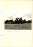 Ewidencja parkowa, skan nr 36