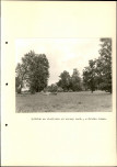 Ewidencja parkowa, skan nr 37
