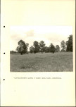Ewidencja parkowa, skan nr 40