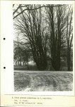 EP - Ewidencja parkowa, skan nr 34